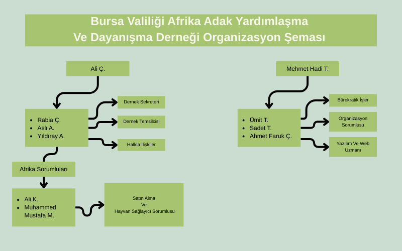 Organizasyon Şeması